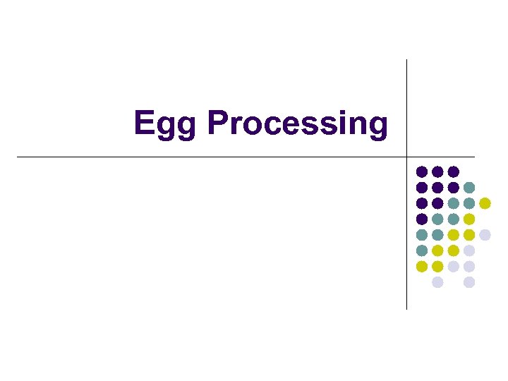 Egg Processing 