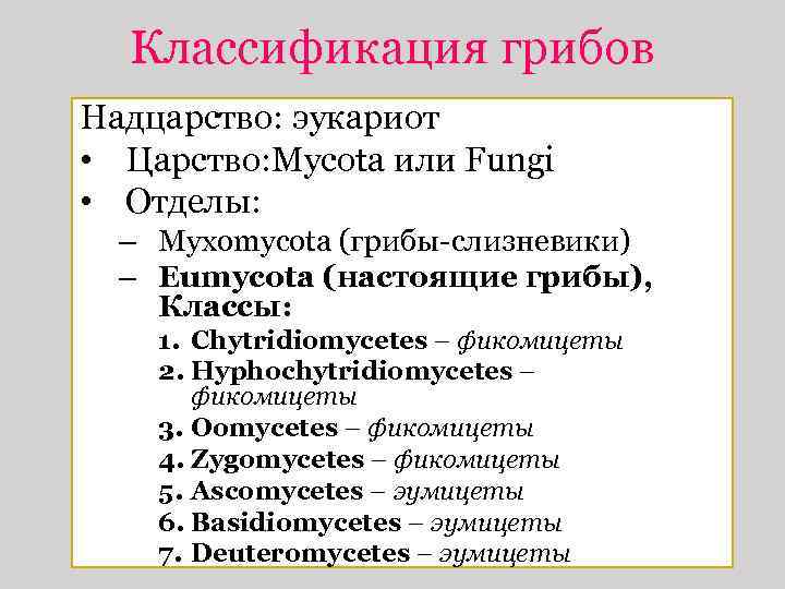 Классификация грибов Надцарство: эукариот • Царство: Mycota или Fungi • Отделы: – Myxomycota (грибы-слизневики)