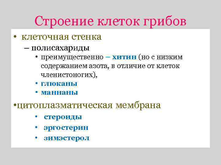 Строение клеток грибов • клеточная стенка – полисахариды • преимущественно – хитин (но с