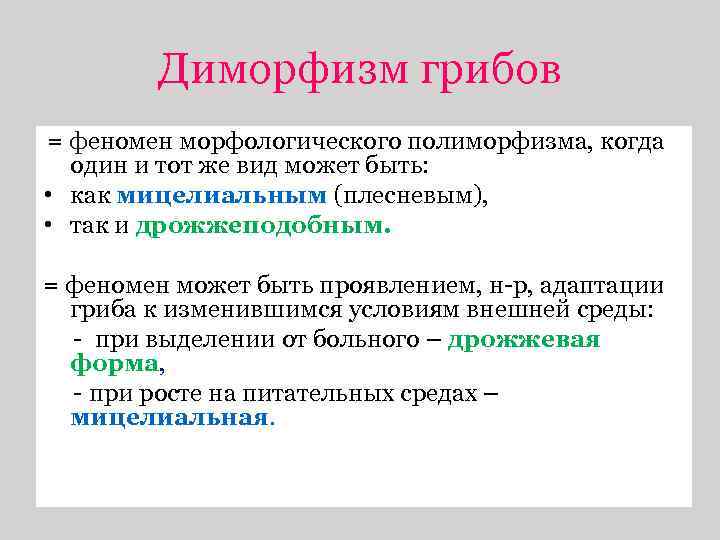 Диморфизм грибов = феномен морфологического полиморфизма, когда один и тот же вид может быть: