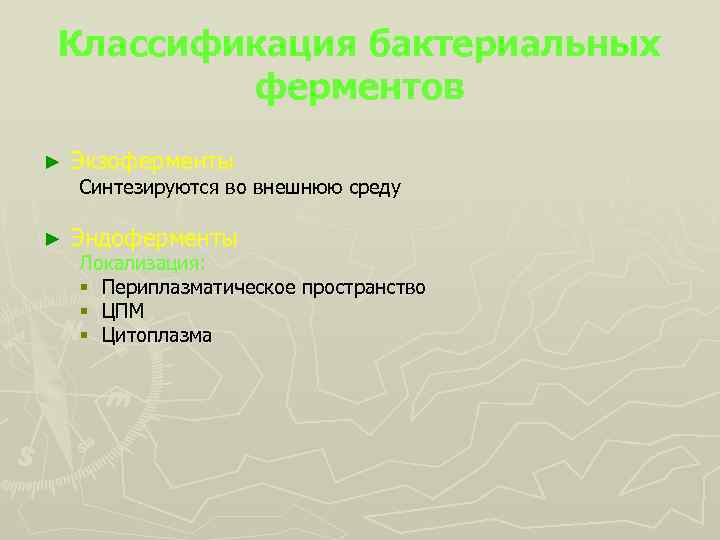 Классификация бактериальных ферментов ► Экзоферменты ► Эндоферменты Синтезируются во внешнюю среду Локализация: § Периплазматическое