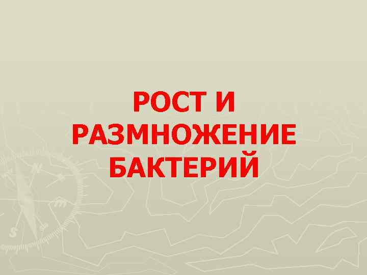 РОСТ И РАЗМНОЖЕНИЕ БАКТЕРИЙ 