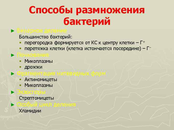 Способы размножения бактерий ► Бинарное деление ► Почкование ► Фрагментация нитевидных форм ► Экзоспоры