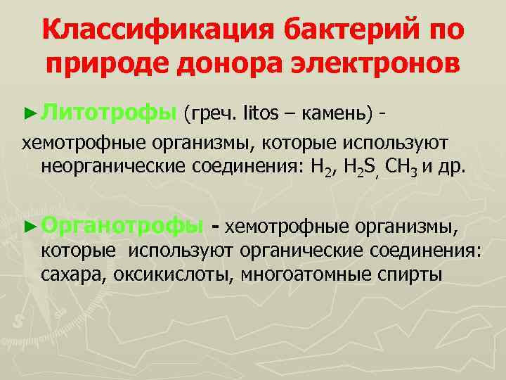 Классификация бактерий по природе донора электронов ► Литотрофы (греч. litos – камень) - хемотрофные