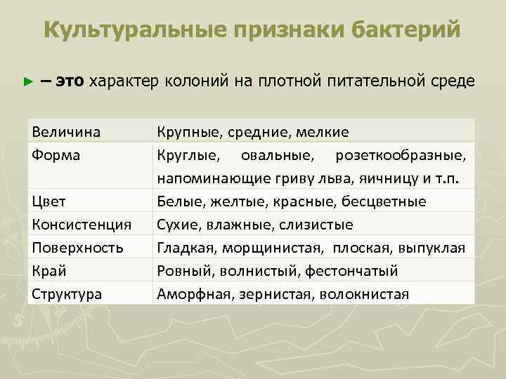 Культуральные признаки бактерий ► – это характер колоний на плотной питательной среде Величина Форма