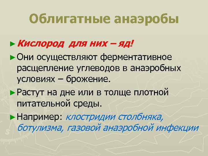 Облигатные анаэробы ► Кислород для них – яд! ► Они осуществляют ферментативное расщепление углеводов