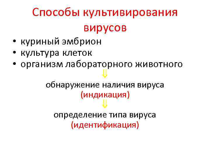 Способы культивирования вирусов • куриный эмбрион • культура клеток • организм лабораторного животного обнаружение