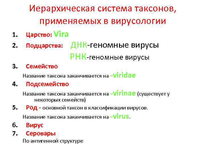 Иерархическая система таксонов, применяемых в вирусологии 1. Царство: Vira 2. Подцарства: 3. 4. 5.