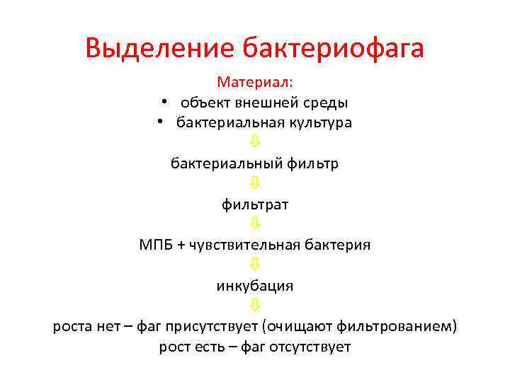 Выделение бактериофага Материал: • объект внешней среды • бактериальная культура бактериальный фильтрат МПБ +