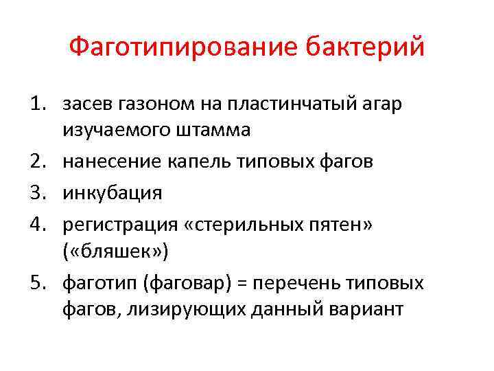 Фаготипирование бактерий 1. засев газоном на пластинчатый агар изучаемого штамма 2. нанесение капель типовых