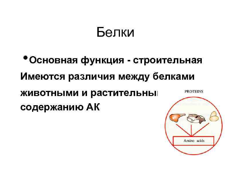 Белки • Основная функция - строительная Имеются различия между белками животными и растительными по