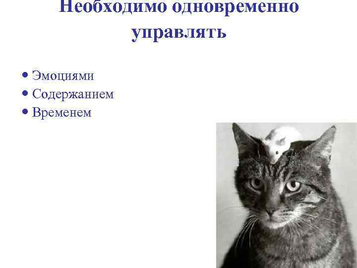 Необходимо одновременно управлять Эмоциями Содержанием Временем 