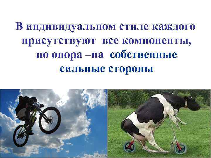 В индивидуальном стиле каждого присутствуют все компоненты, но опора –на собственные сильные стороны 