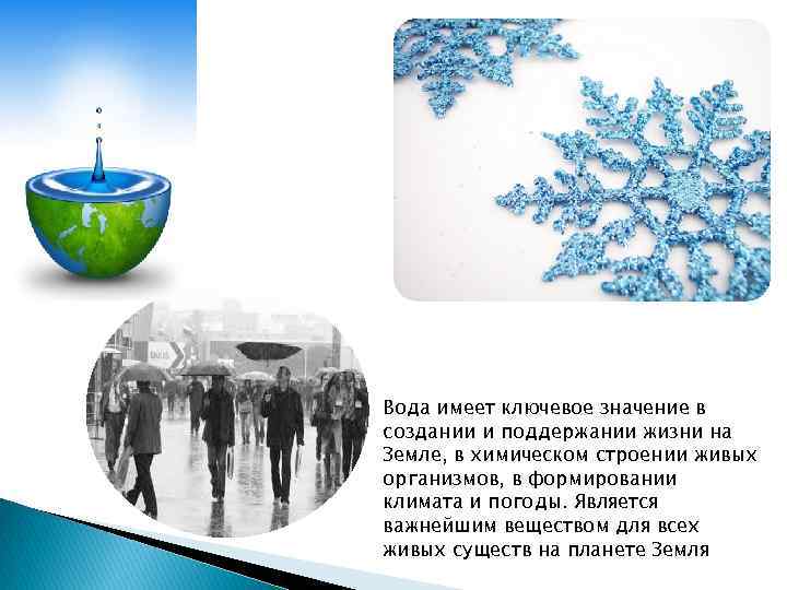 Вода имеет ключевое значение в создании и поддержании жизни на Земле, в химическом строении