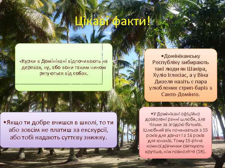 Цікаві факти! • Курки в Домінікані відпочивають на деревах, ну, або вони таким чином