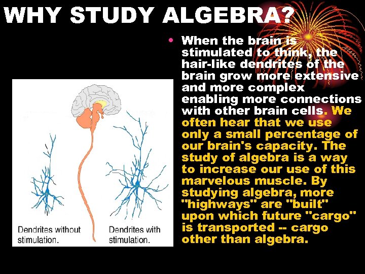 WHY STUDY ALGEBRA? • When the brain is stimulated to think, the hair-like dendrites