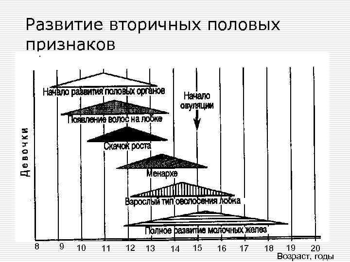 Развитие вторичных половых признаков 8 9 10 11 12 13 14 15 16 17