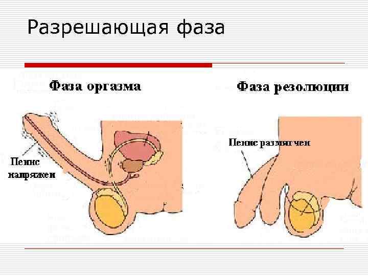 Разрешающая фаза 