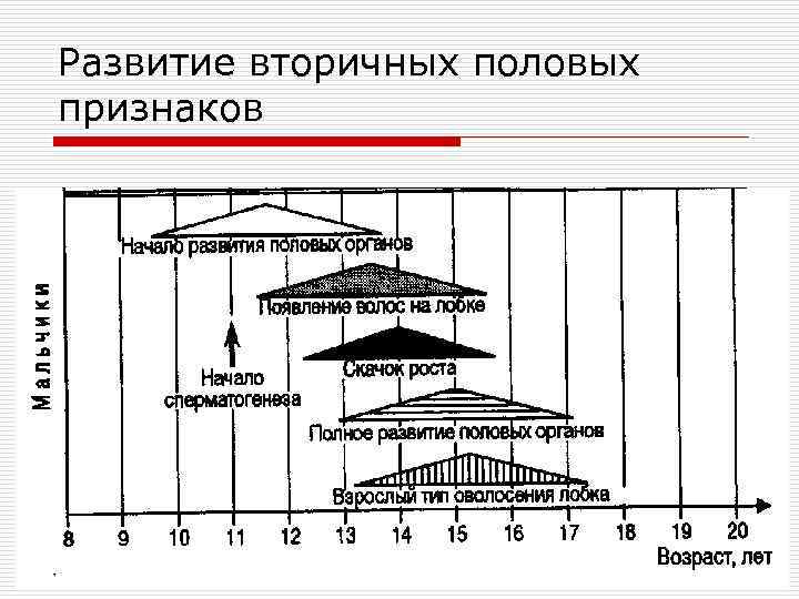 Развитие вторичных половых признаков 