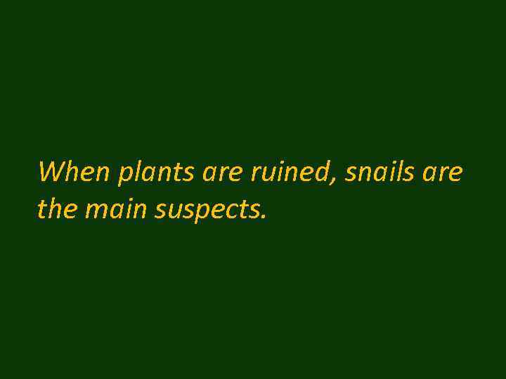When plants are ruined, snails are the main suspects. 