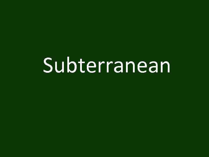 Subterranean 