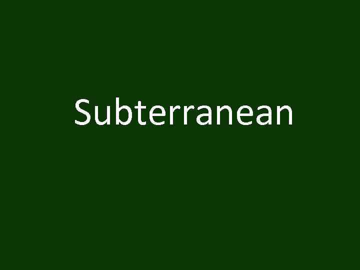 Subterranean 