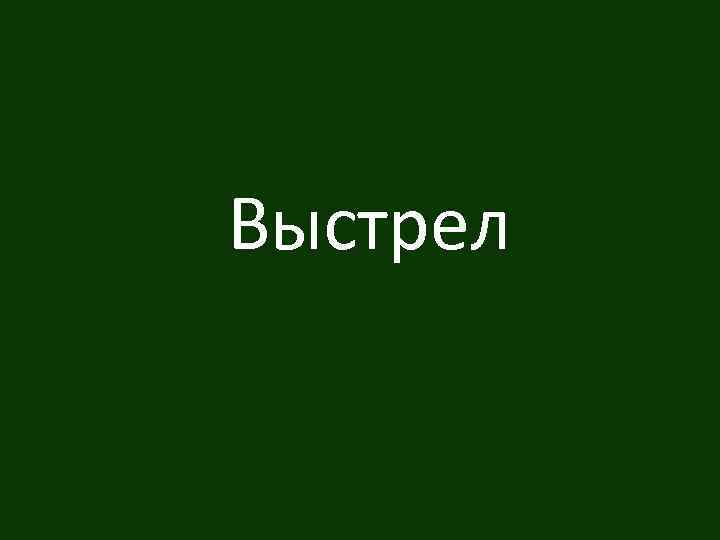 Выстрел 