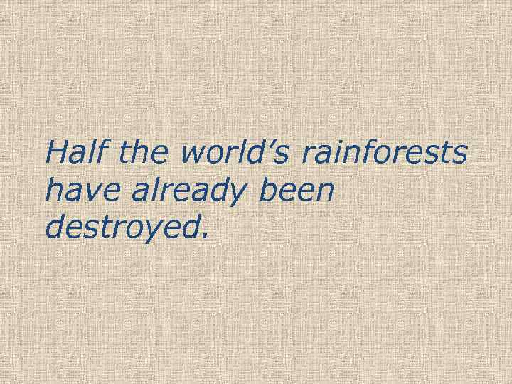 Half the world’s rainforests have already been destroyed. 