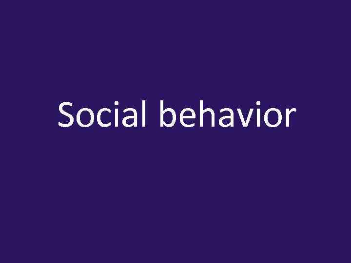 Social behavior 