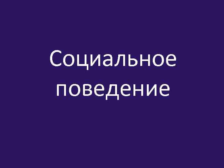 Социальное поведение 