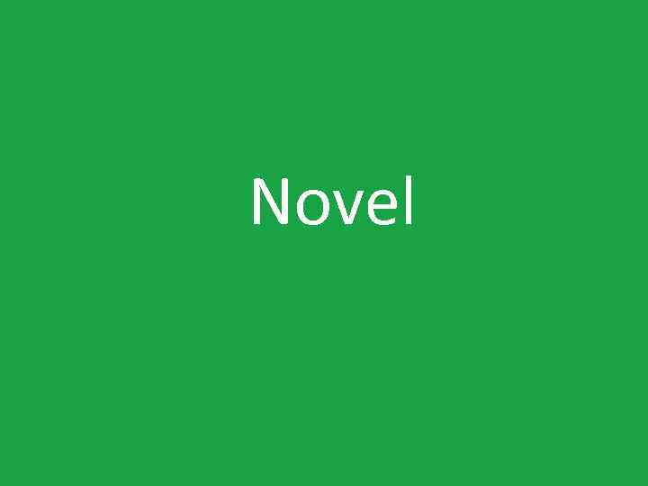 Novel 
