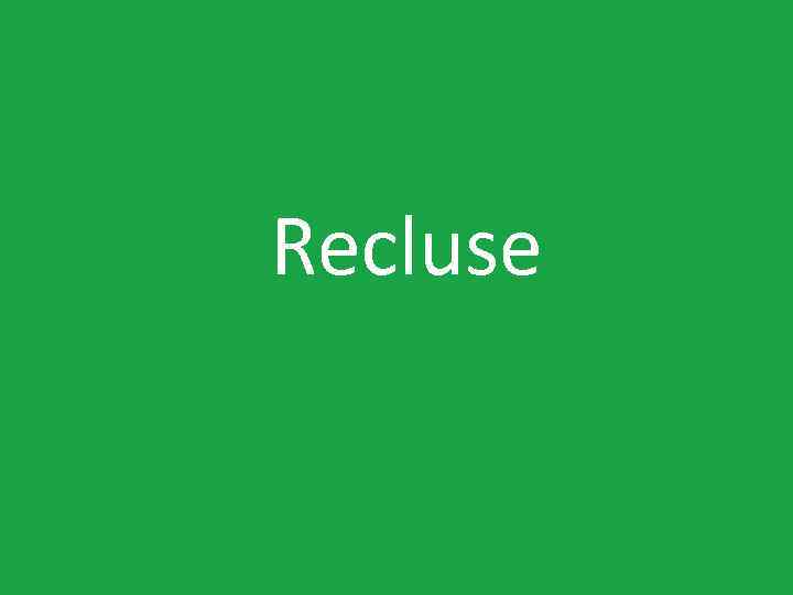 Recluse 