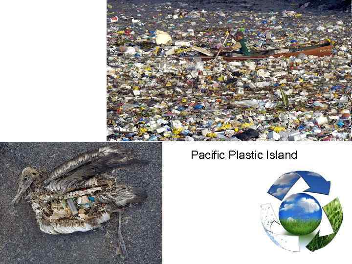 Pacific Plastic Island 