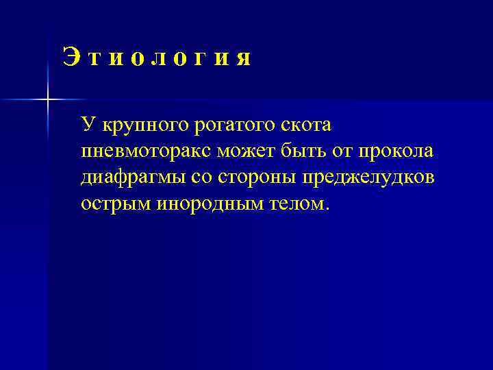 Этиология У крупного рогатого скота пневмоторакс может быть от прокола диафрагмы со стороны преджелудков