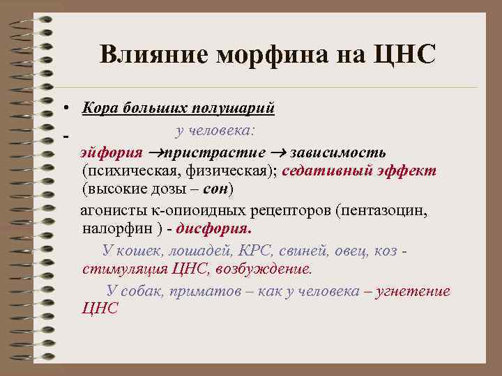 Влияние морфина на ЦНС • Кора больших полушарий у человека: эйфория пристрастие зависимость (психическая,