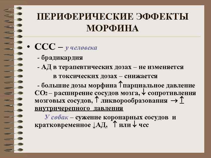 ПЕРИФЕРИЧЕСКИЕ ЭФФЕКТЫ МОРФИНА • ССС – у человека - брадикардия - АД в терапевтических