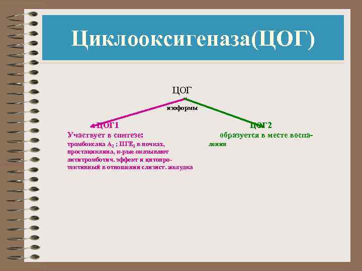 Циклооксигеназа(ЦОГ) ЦОГ изоформы ЦОГ 1 ЦОГ 2 Участвует в синтезе: образуется в месте воспатромбоксана