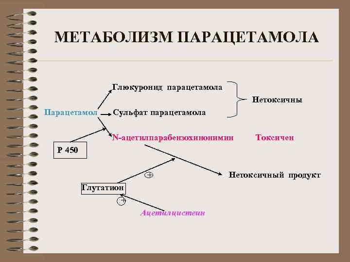 МЕТАБОЛИЗМ ПАРАЦЕТАМОЛА Глюкуронид парацетамола Нетоксичны Парацетамол Сульфат парацетамола N-ацетилпарабензохинонимин Токсичен Р 450 + Нетоксичный