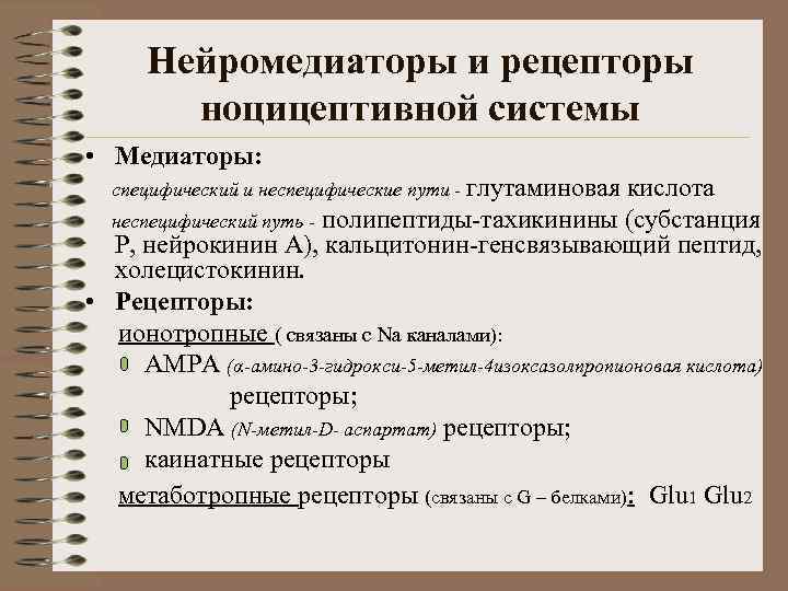 Нейромедиаторы и рецепторы ноцицептивной системы • Медиаторы: специфический и неспецифические пути - глутаминовая кислота