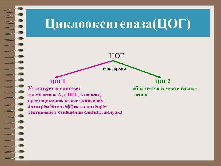 Цог 2. ЦОГ-1 И ЦОГ-2 что это. Циклооксигеназа 1 и 2. ЦОГ 3 функции. ЦОГ путь.