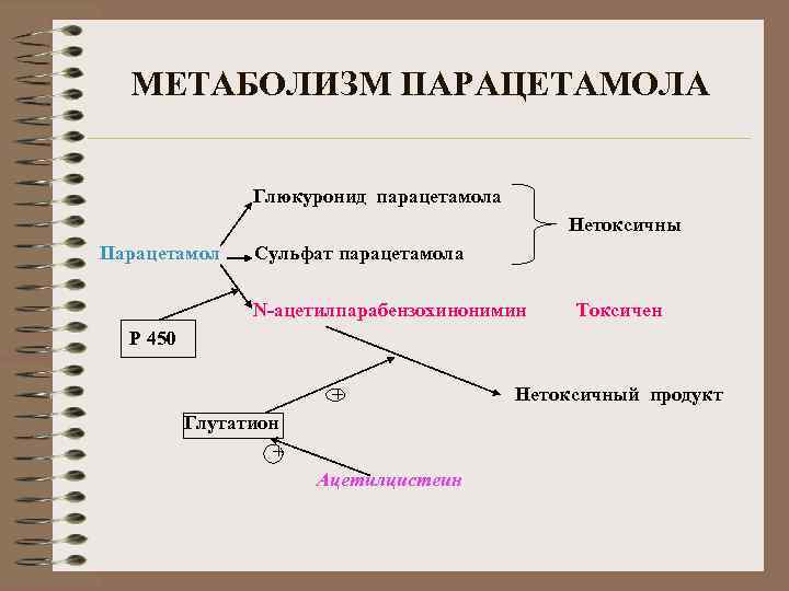 МЕТАБОЛИЗМ ПАРАЦЕТАМОЛА Глюкуронид парацетамола Нетоксичны Парацетамол Сульфат парацетамола N-ацетилпарабензохинонимин Токсичен Р 450 + Нетоксичный