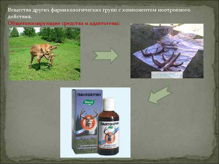 Вещества других фармакологических групп с компонентом ноотропного действия. Общетонизирующие средства и адаптогены: 