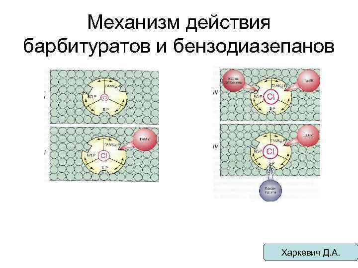 Механизм действия барбитуратов и бензодиазепанов Харкевич Д. А. 