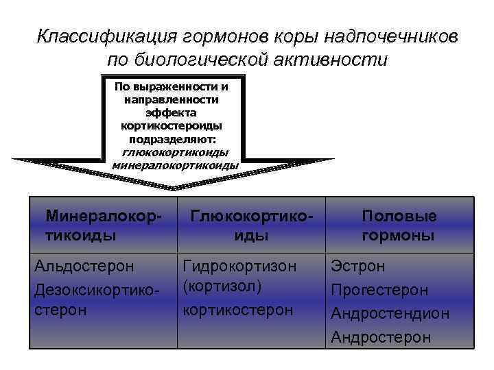 Презентация препараты гормонов коры надпочечников