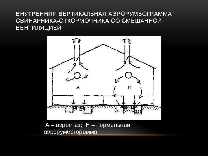 Вертикальная внутренняя