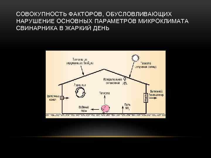 СОВОКУПНОСТЬ ФАКТОРОВ, ОБУСЛОВЛИВАЮЩИХ НАРУШЕНИЕ ОСНОВНЫХ ПАРАМЕТРОВ МИКРОКЛИМАТА СВИНАРНИКА В ЖАРКИЙ ДЕНЬ 