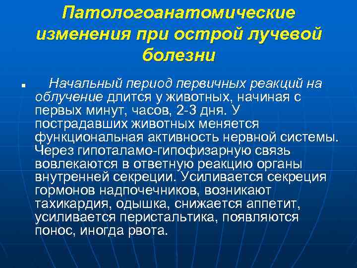 Патологоанатомические изменения при острой лучевой болезни n Начальный период первичных реакций на облучение длится