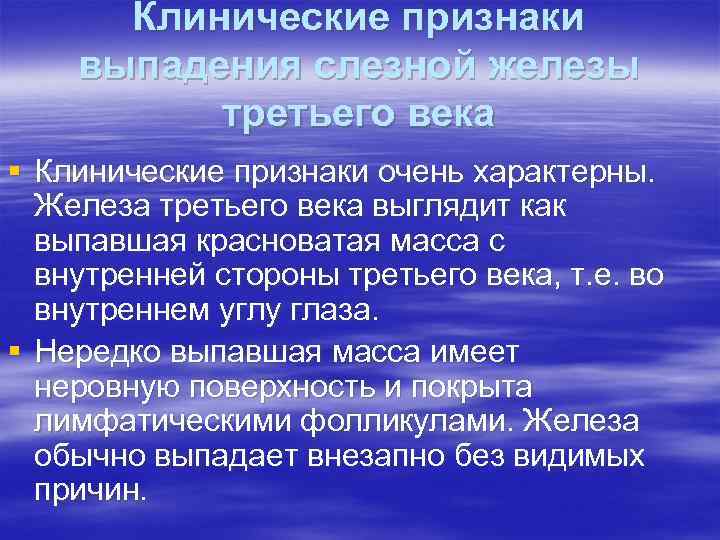 Клинические признаки выпадения слезной железы третьего века § Клинические признаки очень характерны. Железа третьего