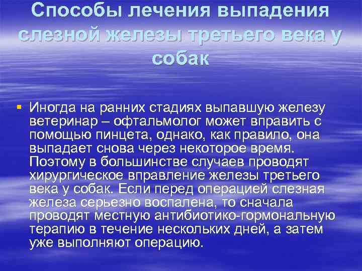 Способы лечения выпадения слезной железы третьего века у собак § Иногда на ранних стадиях
