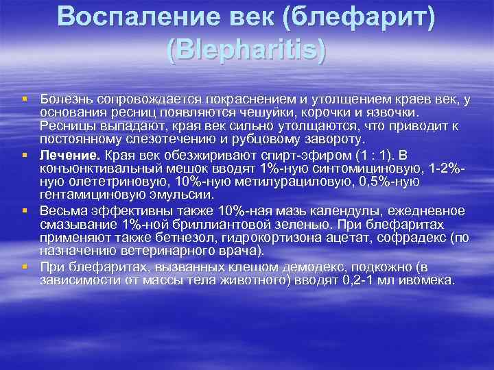 Воспаление век (блефарит) (Blepharitis) § Болезнь сопровождается покраснением и утолщением краев век, у основания